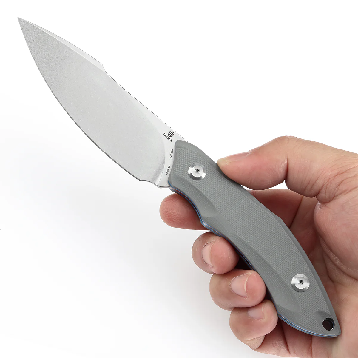 Tenable Luccio Fixed Blade Knife with Grey G10 Handle (3.81" Stonewashed 14C28N Blade) - Bolt Vision Design - G007A4 - Image 6
